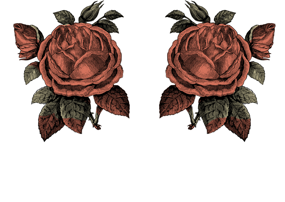 Large Roses